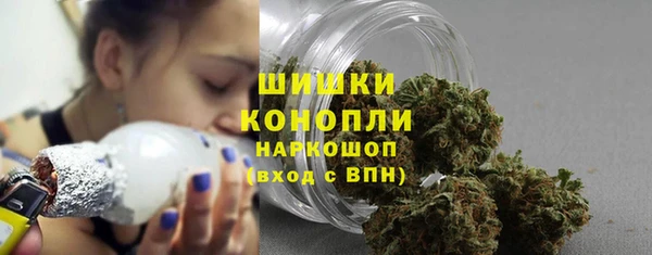 ГАЛЛЮЦИНОГЕННЫЕ ГРИБЫ Богданович