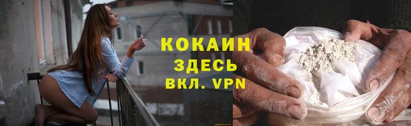 ГАЛЛЮЦИНОГЕННЫЕ ГРИБЫ Богданович