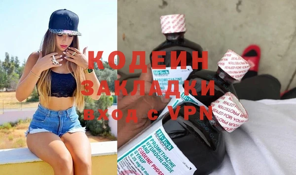 ГАЛЛЮЦИНОГЕННЫЕ ГРИБЫ Богданович