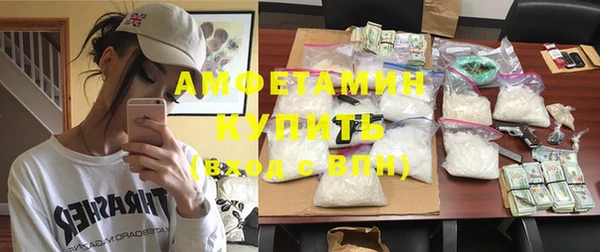ГАЛЛЮЦИНОГЕННЫЕ ГРИБЫ Богданович