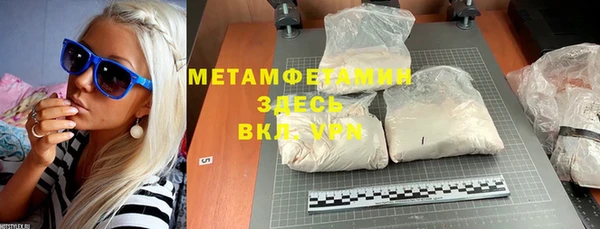 ГАЛЛЮЦИНОГЕННЫЕ ГРИБЫ Богданович