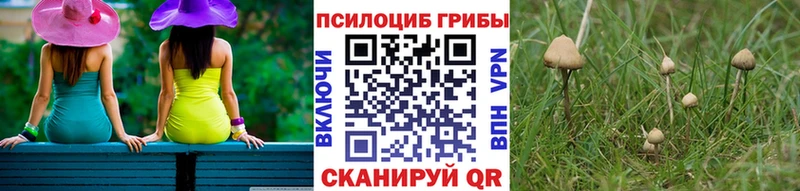 наркотики  Мурино  Псилоцибиновые грибы Magic Shrooms 